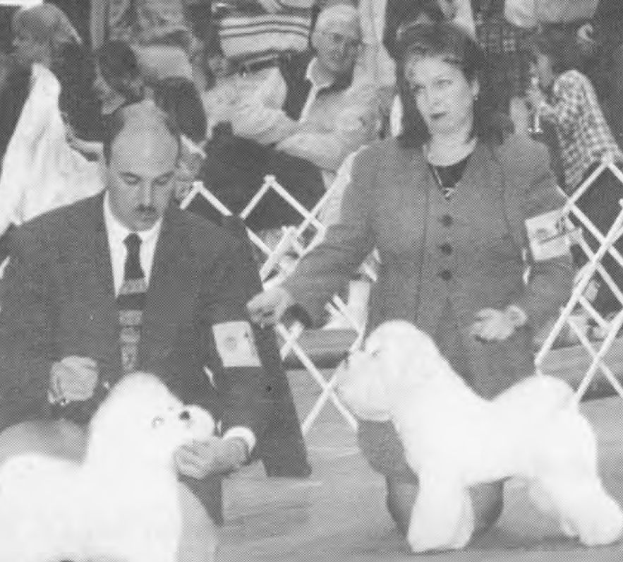 International Kennel Club of Chicago, 1998
